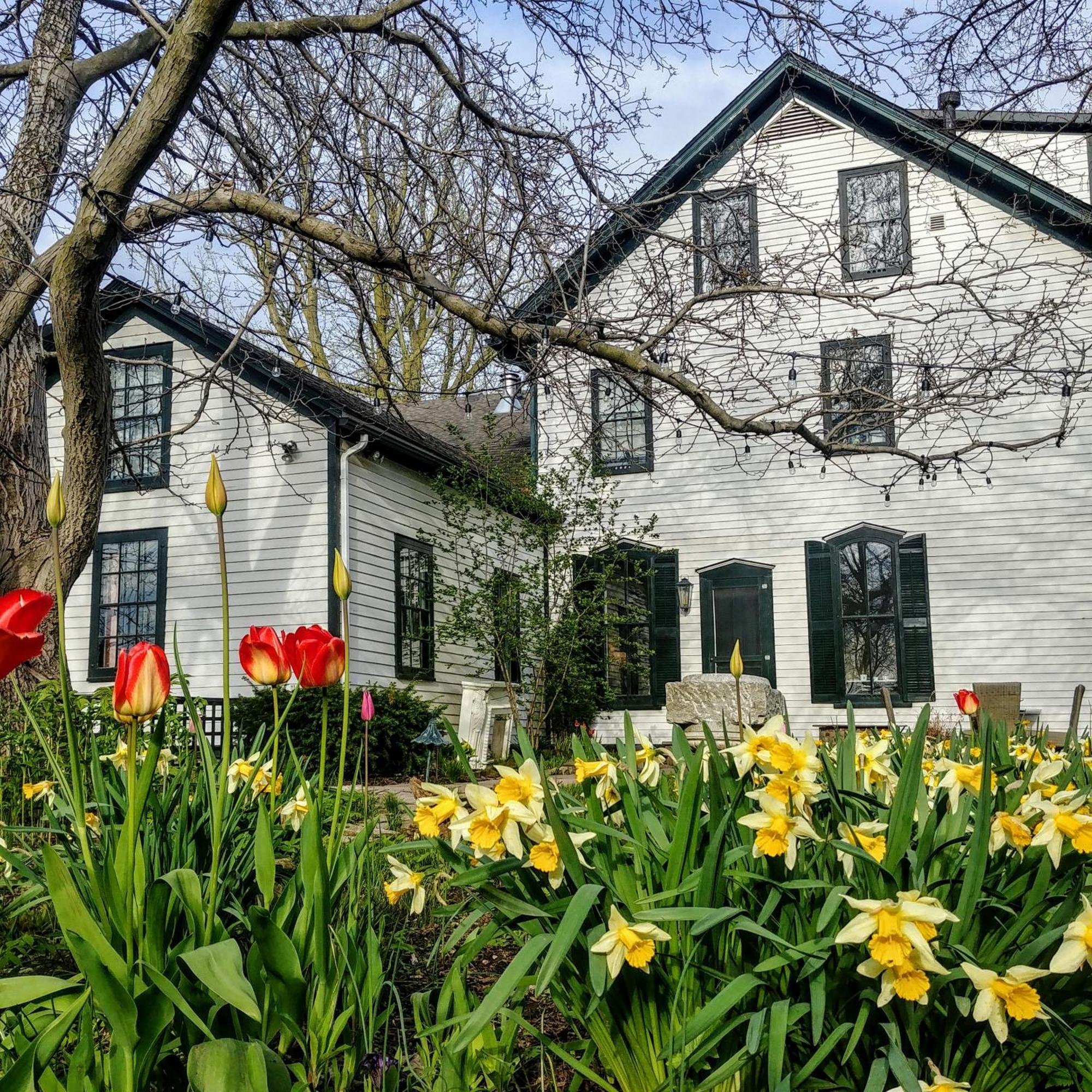 Woodbourne Inn Niagara-on-the-Lake Esterno foto